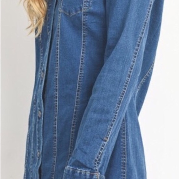 BLUE DENIM PRINCESS LINE BUTTON UP DRESS - Picture 2 of 7